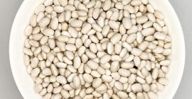 Vendemos frijoles de alta calidad Merlin Navy Beans Zorro