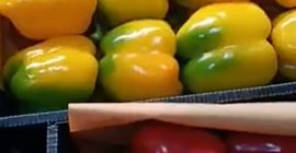 Esto es lo que quieres. puedes obtener más información