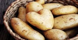 Empresa BUXORO AGRO EKSPORT para importación y exportación en