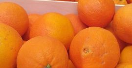 Venderé naranjas navelina 22 t precio por kg 4.30