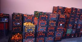 Naranjas de Grecia, 100% BIO Traídas recientemente de Grecia.