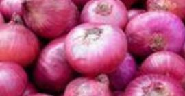 Cebolla roja de grado A, tamaño del paquete: 50
