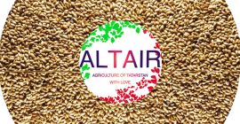 timothy Producto de alta calidad de exportación. Escríbanos por