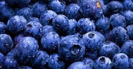 Venderé arándanos a granel. Ucrania. Buscamos socios comerciales en