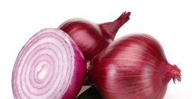 Estamos entre los nombres muy elogiados comprometidos en ofrecer