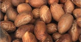 Nos enorgullece presentarnos como un exportador, distribuidor y proveedor