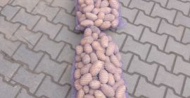 Venderé papas comestibles, variedad Queen Anna. También tengo otras