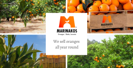 Pre Ordenar naranjas de Valencia del sol Skala Laconia,