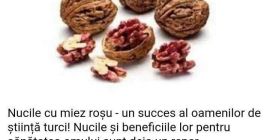 Vendo una nuez roja turca por un máximo de