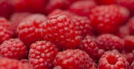 Cantidades al por mayor de frambuesas para la venta.