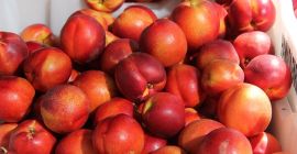 Venderé nectarinas a granel. País de origen: España, Marruecos,