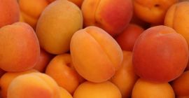 Venderé cantidades al por mayor de albaricoques. País de