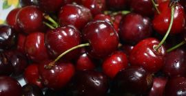 Venderé cerezas a granel. País de origen: España, Marruecos,