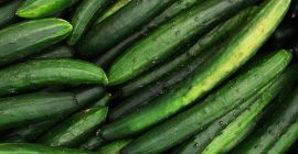 Venderé pepinos a granel. País de origen: España, Marruecos,