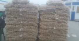 Vendo patatas importadas de Alemania Francia