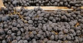 Hola, somos un importador de uvas negras de Moldavia.