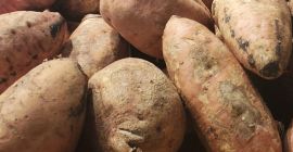 BATATA Dominicana. También conocido regionalmente como boinato o camote.