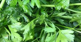 Venderé perejil, una hermosa hoja verde oscuro. Envasado: caja