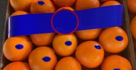 Talla 5 clasifica NAVEL y NAVELINES