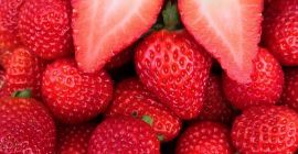 Nuestras fresas se cultivan en Sinop. Garantizamos la calidad