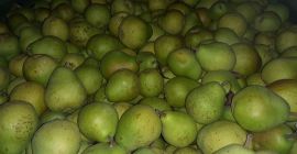 Venderé Lukas, unas 8 toneladas.
