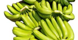 Suministros de banano: proveedores mayoristas El banano es uno