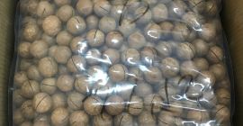 Hola, vendemos nueces de macadamia exóticas naturales sin procesar