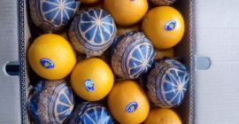 Naranja Valencia: caja - Naranja Valencia: caja - 14,5 kg, 1664 cajas, peso