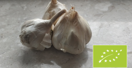 Venderé ajo orgánico con certificado AgroBioTest vigente. En cabezas