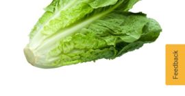 Somos Best Import Srl, tenemos una oferta de precios