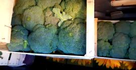 Somos Best Import Srl, tenemos una oferta de precios