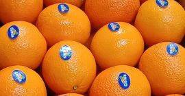 Importación y exportación de productos orgánicos Estamos especializados en