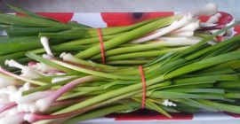 Ajo verde fresco para la venta. Variedad roja.