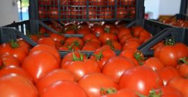 El producto está certificado para su venta en toda