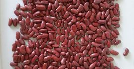 Hola, nuestra empresa PPZ Sława Sp. z o. o.