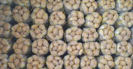 Listo para enviar con una gran cantidad de productores.
