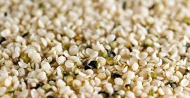 Semilla de cáñamo sin cáscara / Semillas de cáñamo