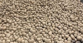 Venderé unas 20 toneladas de patatas Vineta a granel,