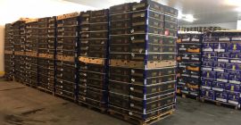 Hola, Somos una empresa que importa verduras / frutas