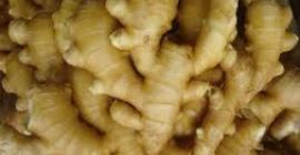 Somos los agricultores y exportadores de jengibre más renombrados.