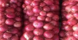 Cebolla fresca a la venta, son cebollas ecológicas certificadas