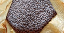 Estoy interesado en comprar trigo sarraceno. Trigo sarraceno con