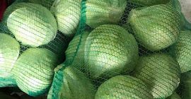 Repollo blanco de clase 1 Peso de la cabeza: