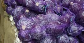 Col lombarda de 1ª clase. Peso de la cabeza: