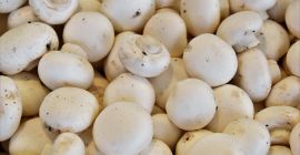 Champiñones