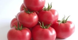 Un hermoso tomate de Grecia, directamente de Salónica, precio