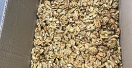 Importo nueces limpias de Ucrania en lotes de 20