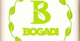 Bogadi llc