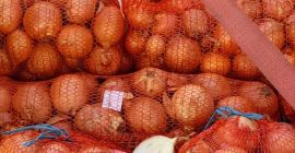 Cebollas, 23000 kg Para más detalles contactar Tel +40756