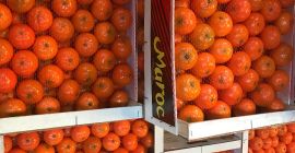 &quot;AGRUMCO es una empresa familiar, ubicada en la ciudad